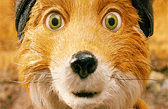 Animated close-up gif of Mr. Fox from The Fantastic Mr. Fox with wide, wild eyes
